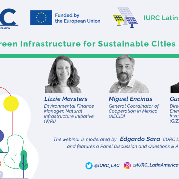 Watch the webinar: “Financing Green Infrastructure for Sustainable Cities and Regions”