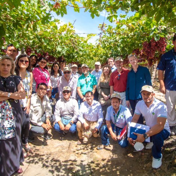 Delegations from Almería and Extremadura, Spain, carry out study visits in Piura, Peru