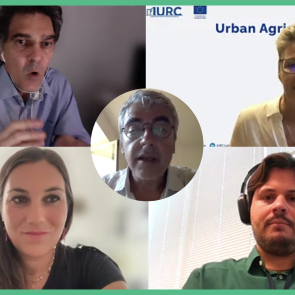 Watch the webinar: “Urban Agriculture”