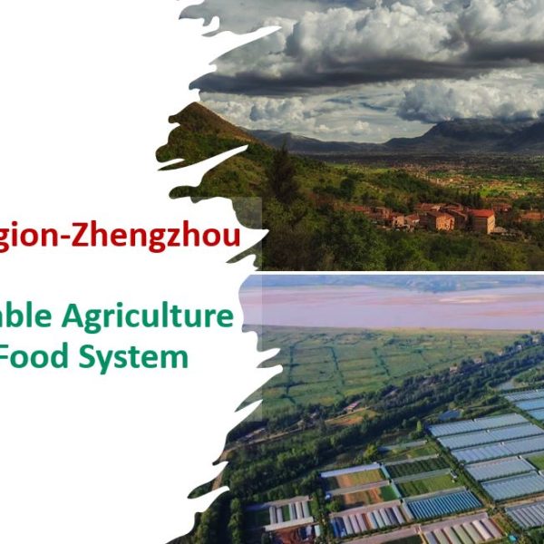 郑州-拉齐奥大区第二次线上工作会议：可持续农业食品体系