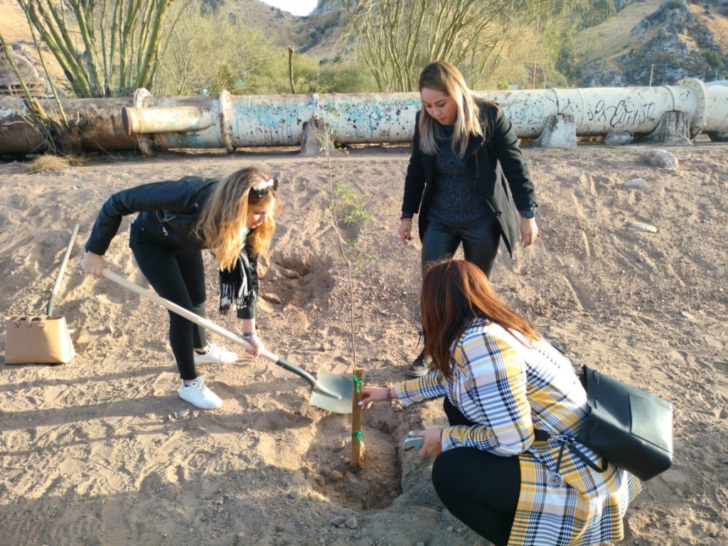 Tree planting at Carcamo